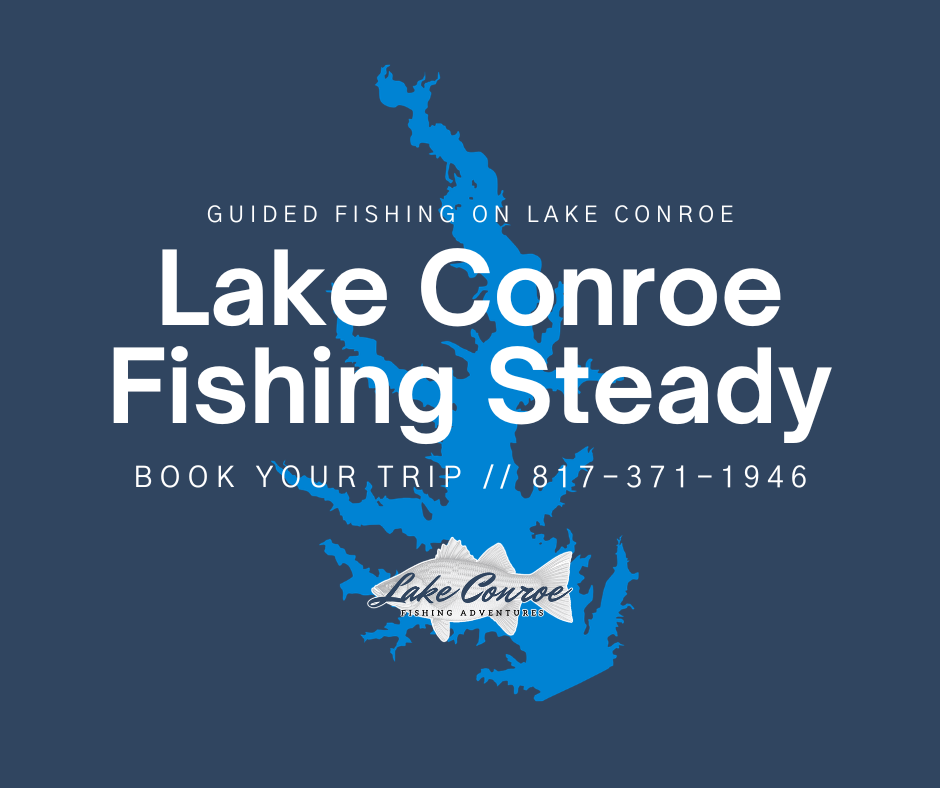Lake Conroe Fishing Steady